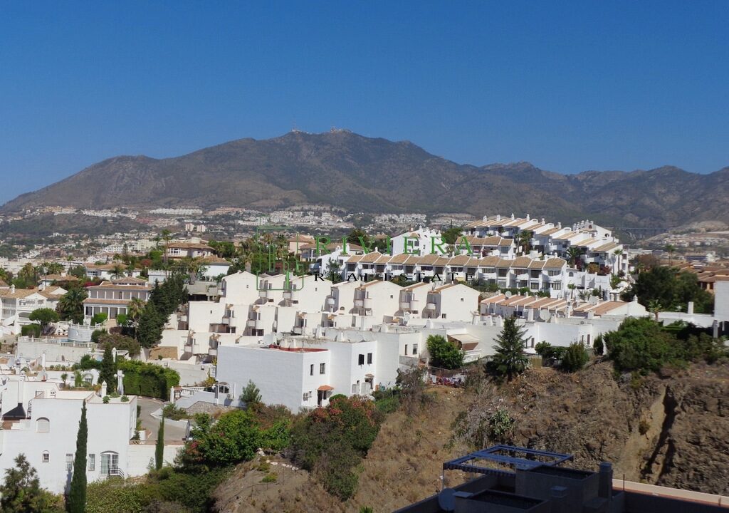 Coloso (2)