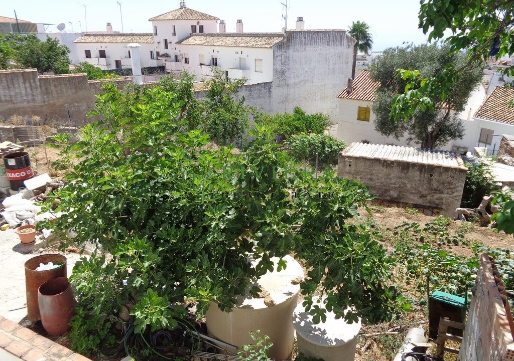 DSC02387 (Copiar)