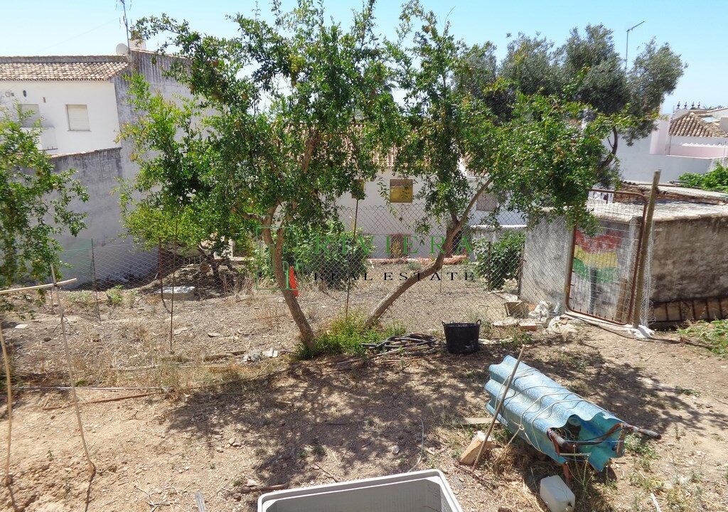 DSC02388 (Copiar)